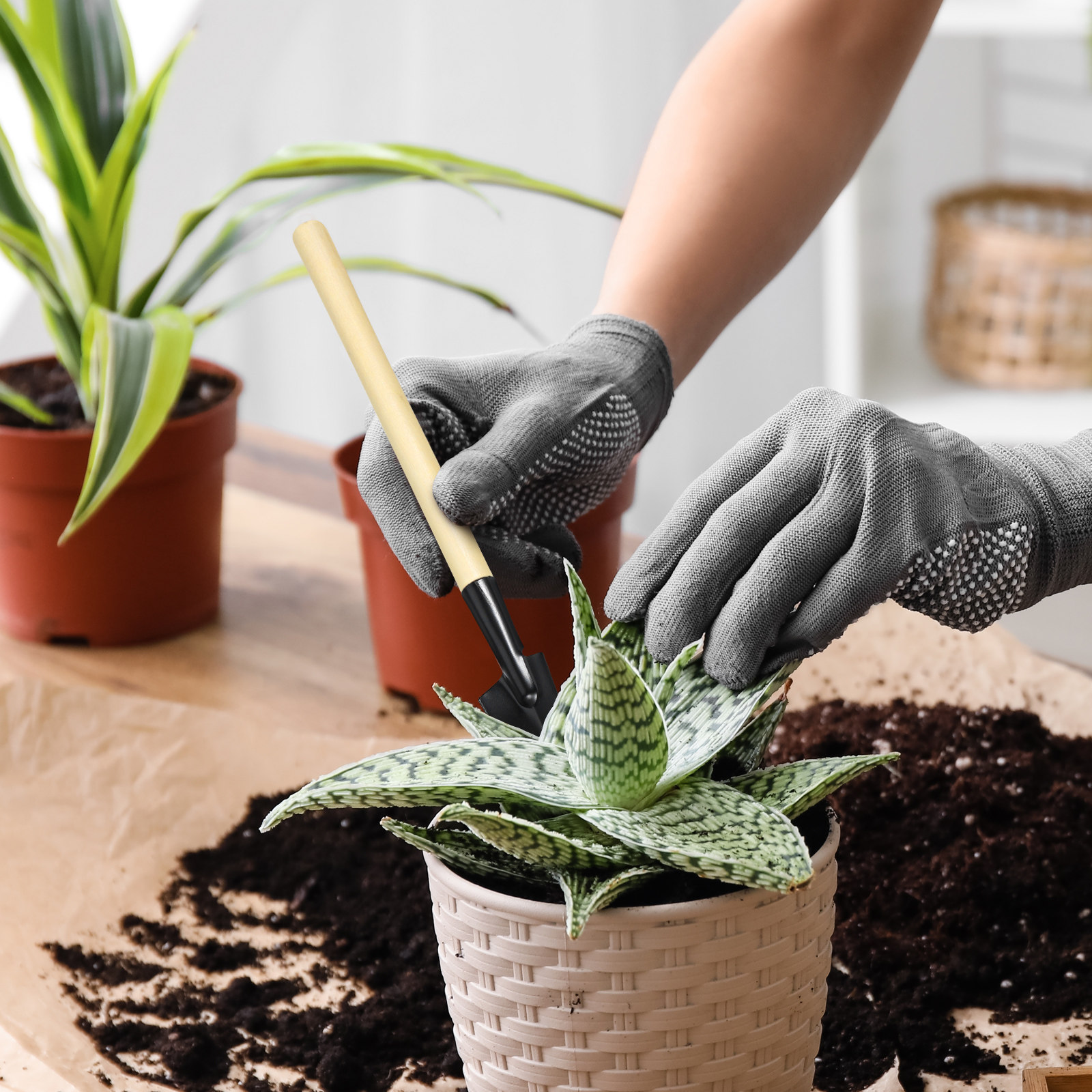 Bonsai Garden Rake - 2Sets Mini Garden Tools Set Gardening