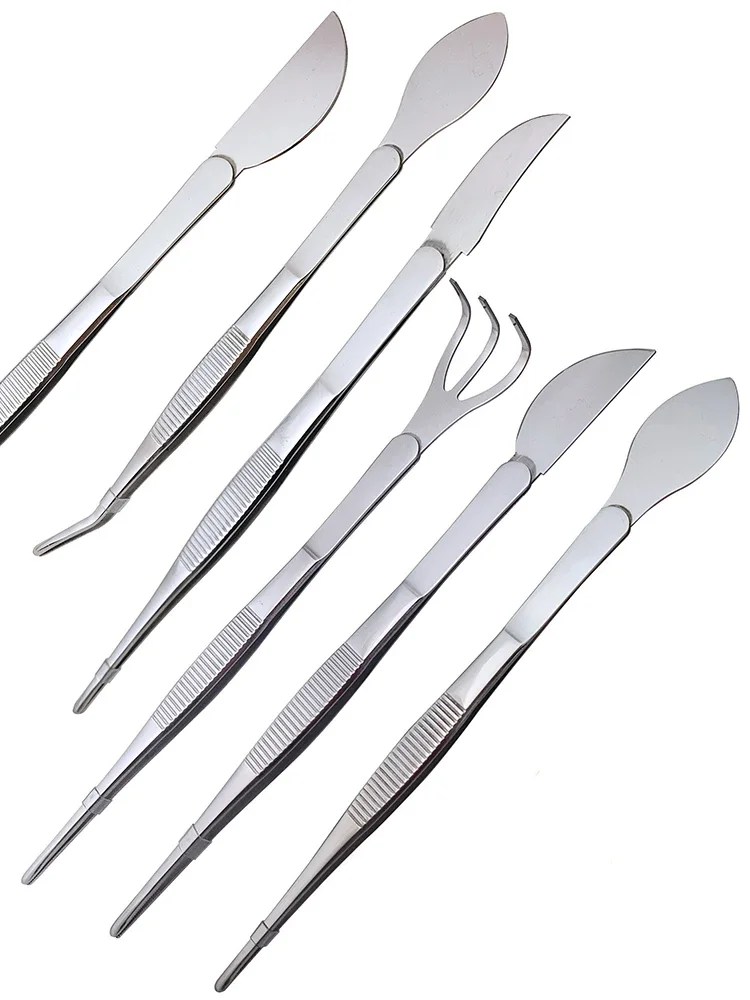 Bonsai Garden Rake - 1pc 2-in-1 304 Stainless Steel Root