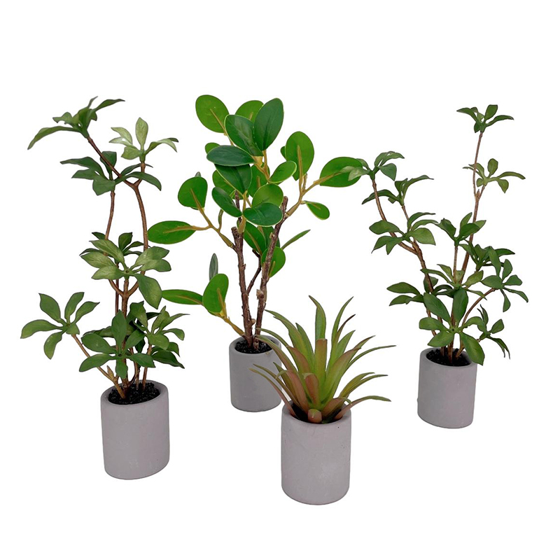 Bonsai Garden Europe - 1:6 Dollhouse Miniature Potted Plant Green