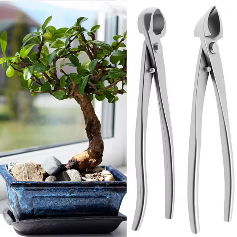 Bonsai Garden Rake - 2pcs 210mm Stainless Steel Bonsai Tool