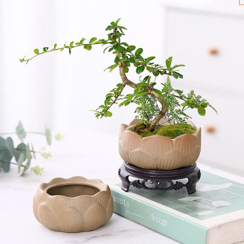 Bonsai Garden Europe - Coarse Pottery Lotus Green Plant Pot