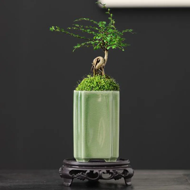 Bonsai Garden Europe - Porcelain Square Celadon Glazed Orchid Flowerpot