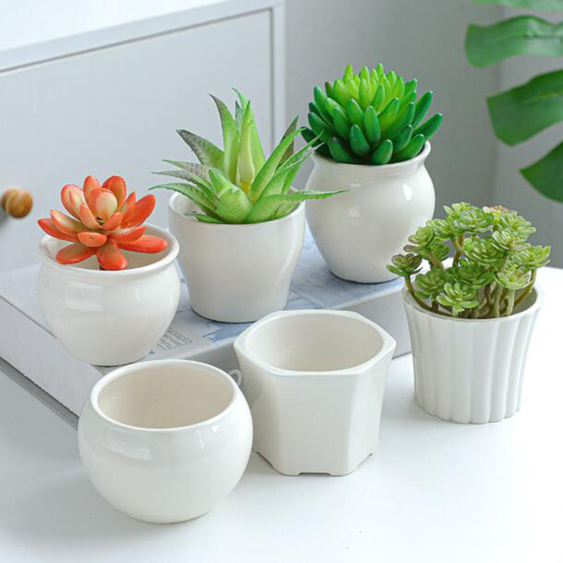 Bonsai Garden Europe - 6 Pcs/ Set White Porcelain Flower