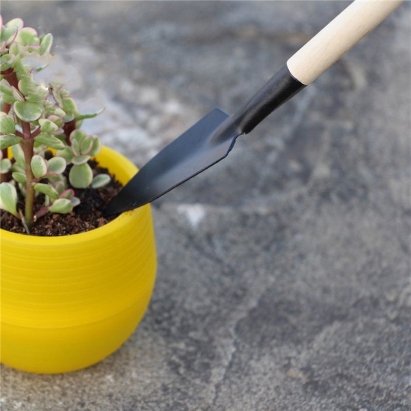 3pcs Mini Garden Shovel Rake S - Bonsai Garden Rake 评论和价格