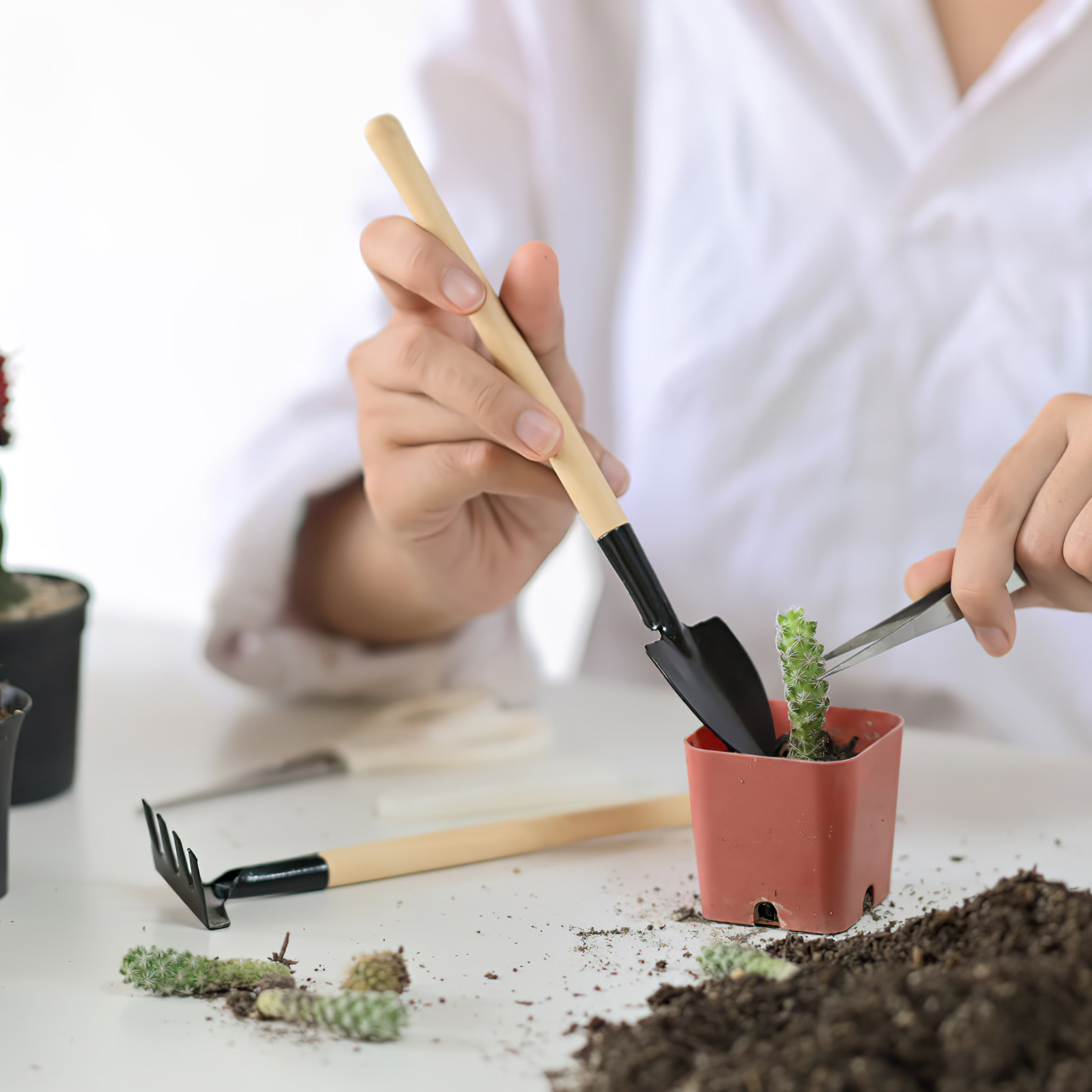 2Sets Mini Garden Tools Set Ga - Bonsai Garden Rake 评论和价格