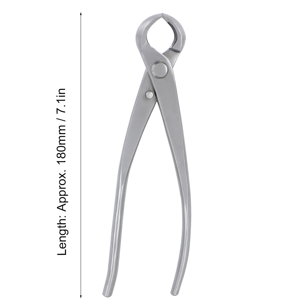 Concave Knob Cutter 180mm Stai - Bonsai Garden Rake 评论和价格
