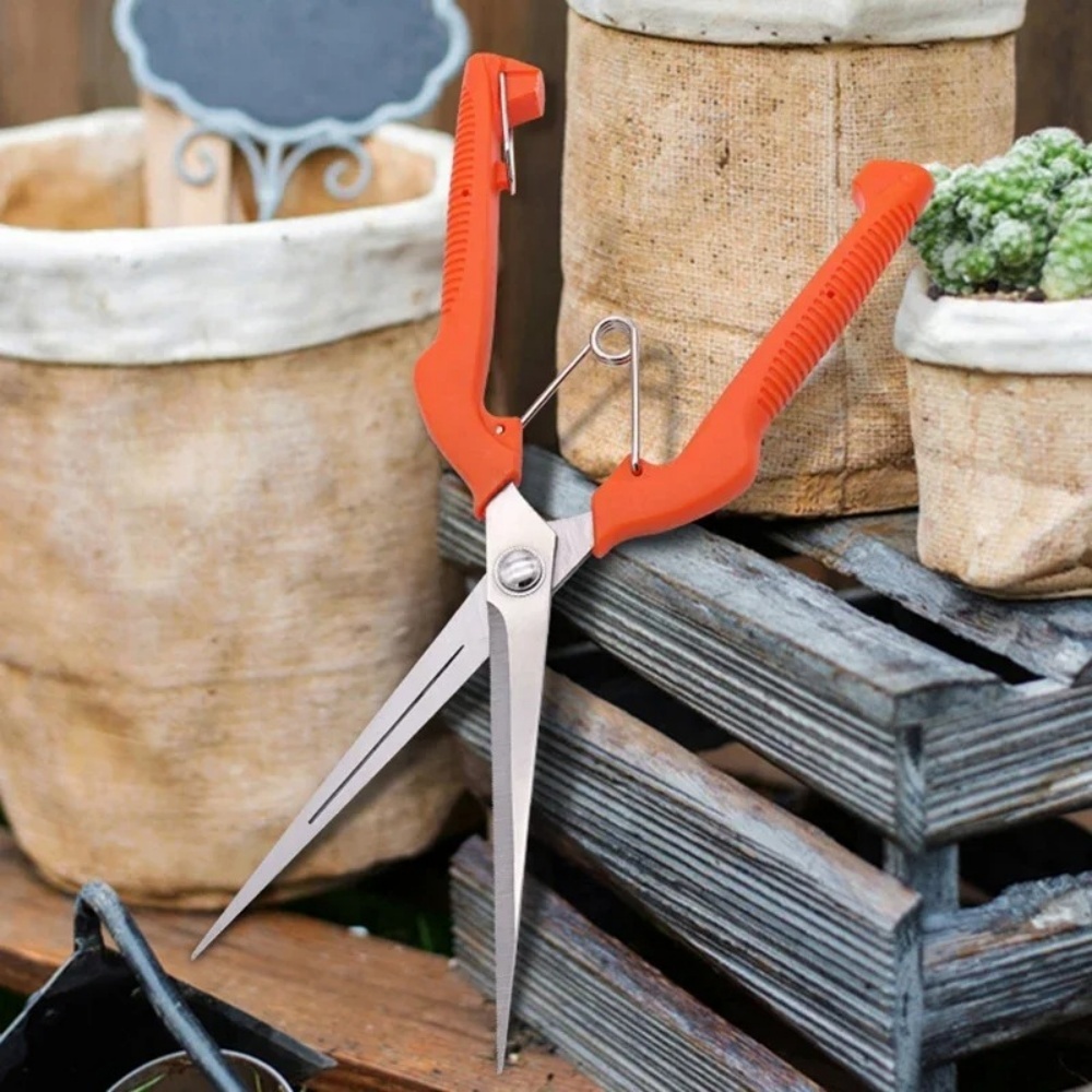 Professional Garden Pruning Sh - Bonsai Garden Rake 评论和价格