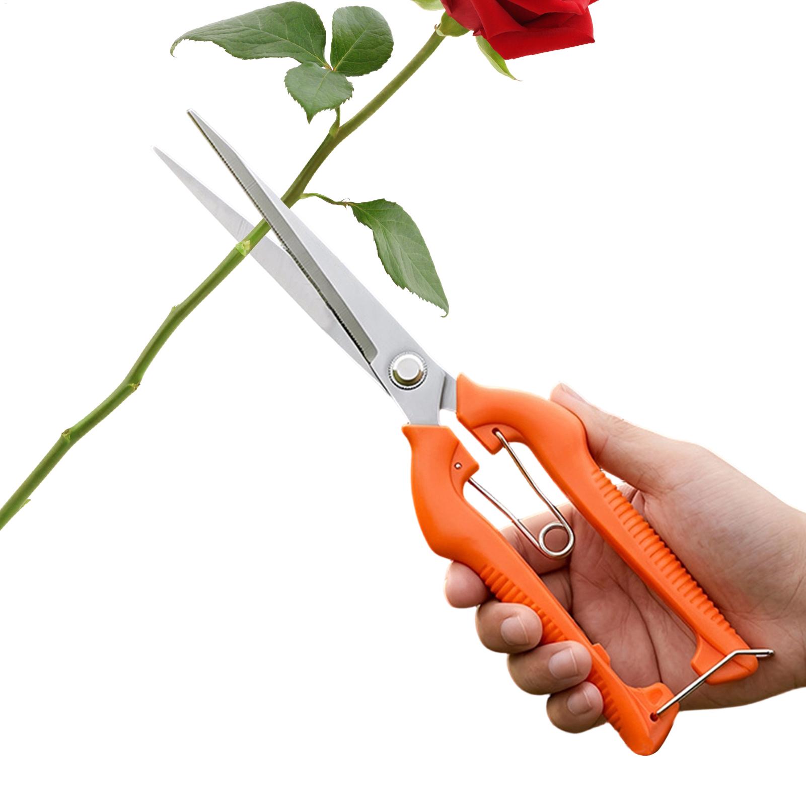 Pruning Shears Grape Scissors  - Bonsai Garden Rake 评论和价格