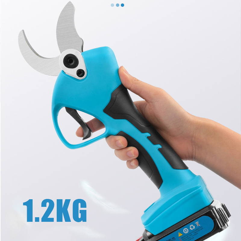 21V Cordless Lithium-ion Progr - Bonsai Garden Dc 评论和价格