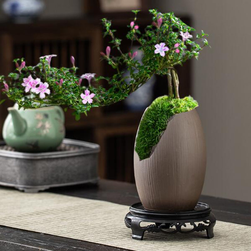 Chinese Style Ceramic Bonsai V - Bonsai Garden Europe 评论和价格
