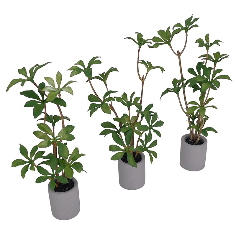 1:6 Dollhouse Miniature Potted - Bonsai Garden Europe 评论和价格