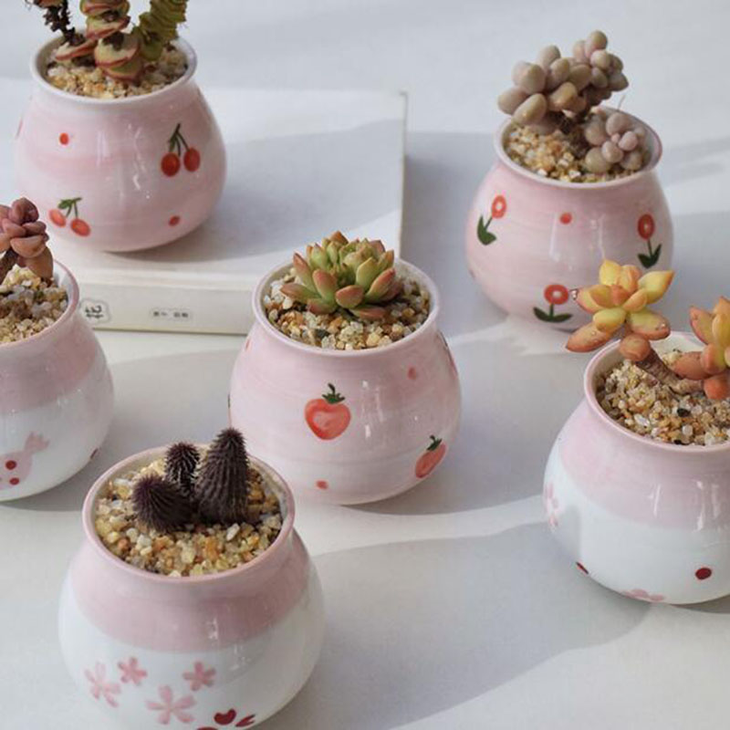 Cute Pink Girl Heart Series Fl - Bonsai Garden Europe 评论和价格