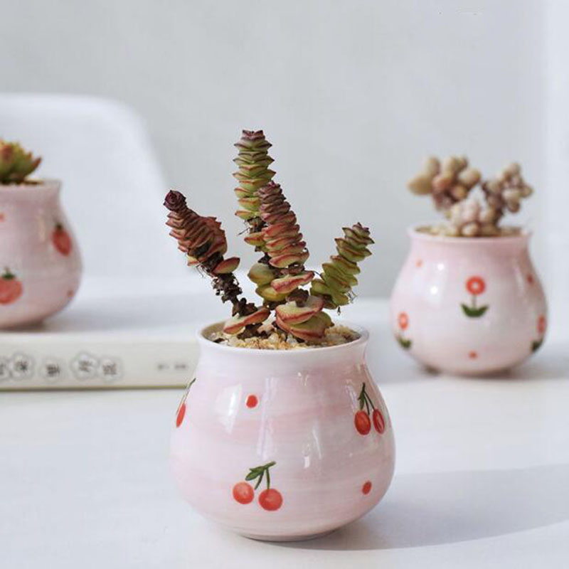 Cute Pink Girl Heart Series Fl - Bonsai Garden Europe 评论和价格