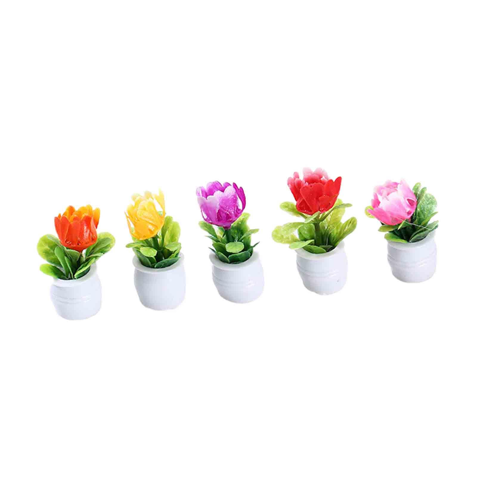 5Pcs 1:12 Dollhouse Miniature  - Bonsai Garden Europe 评论和价格