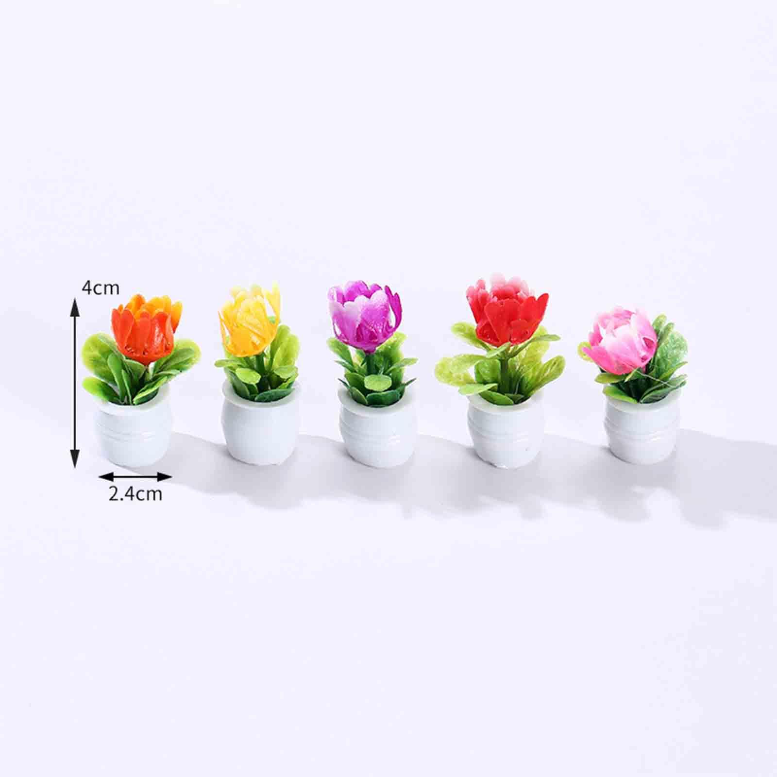 5Pcs 1:12 Dollhouse Miniature  - Bonsai Garden Europe 评论和价格