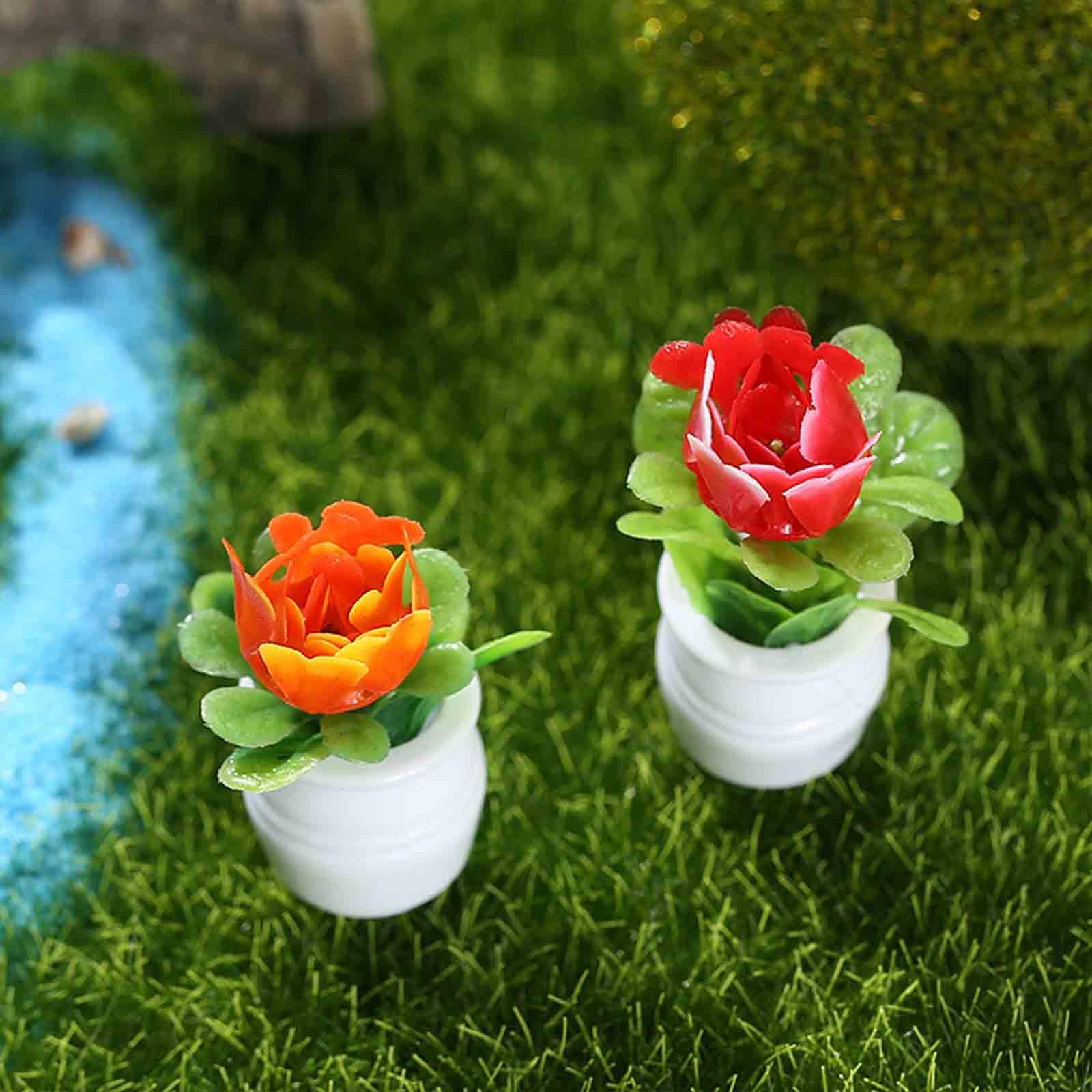 5Pcs 1:12 Dollhouse Miniature  - Bonsai Garden Europe 评论和价格