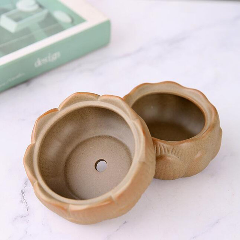 Coarse Pottery Lotus Green Pla - Bonsai Garden Europe 评论和价格