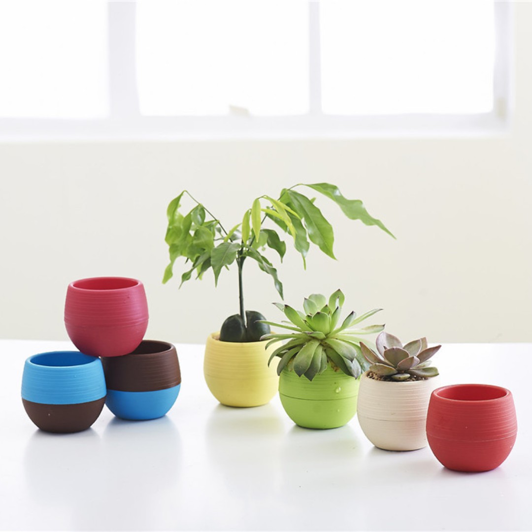 Gardening Mini Plastic Flower  - Bonsai Garden Europe 评论和价格