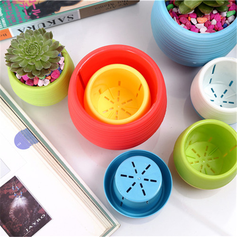 Gardening Mini Plastic Flower  - Bonsai Garden Europe 评论和价格