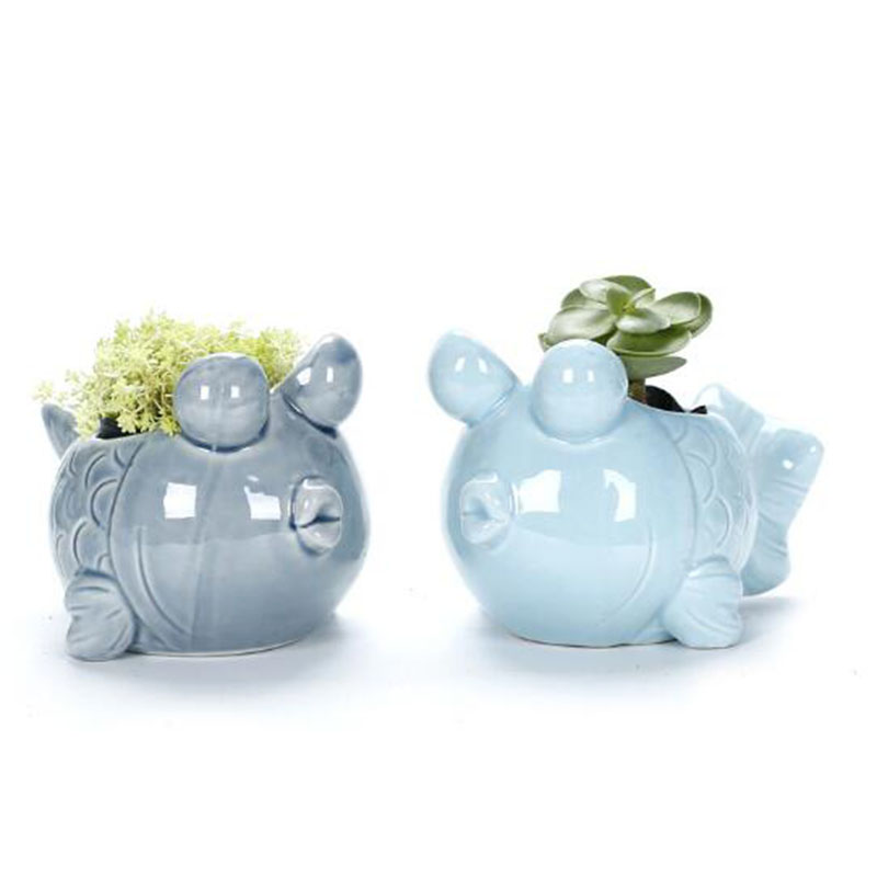 European Style Cute Fleshy Flo - Bonsai Garden Europe 评论和价格