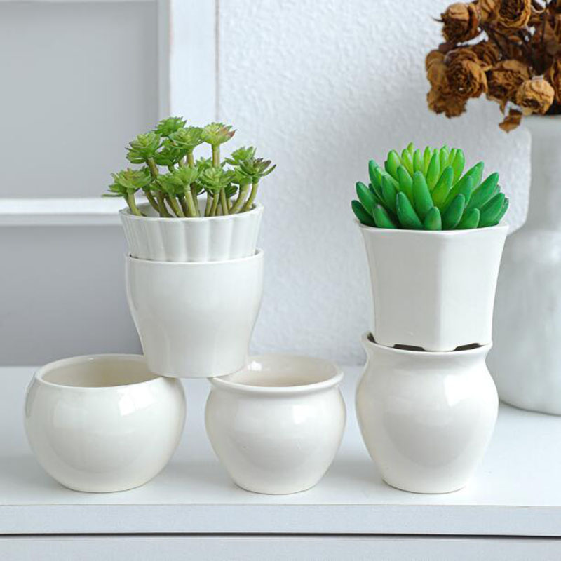 6 Pcs/ Set White Porcelain Flo - Bonsai Garden Europe 评论和价格