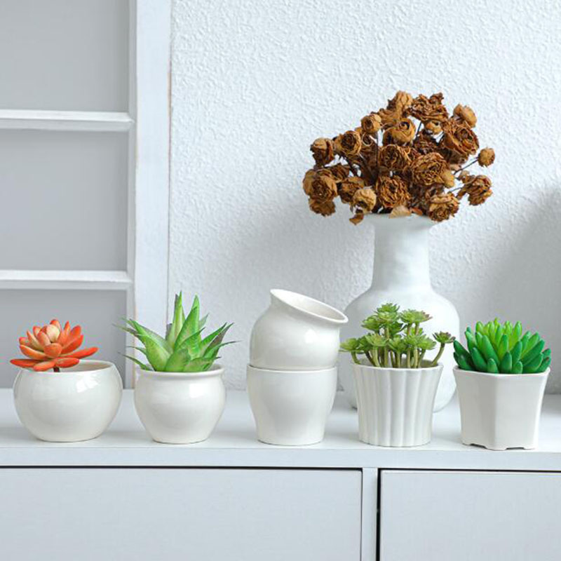 6 Pcs/ Set White Porcelain Flo - Bonsai Garden Europe 评论和价格